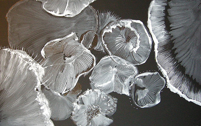 annfrossen deepsea